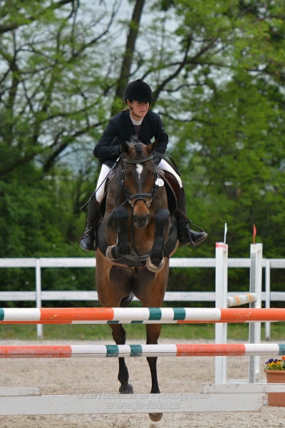 Skoková soutěž stupně „ZL“ na čas