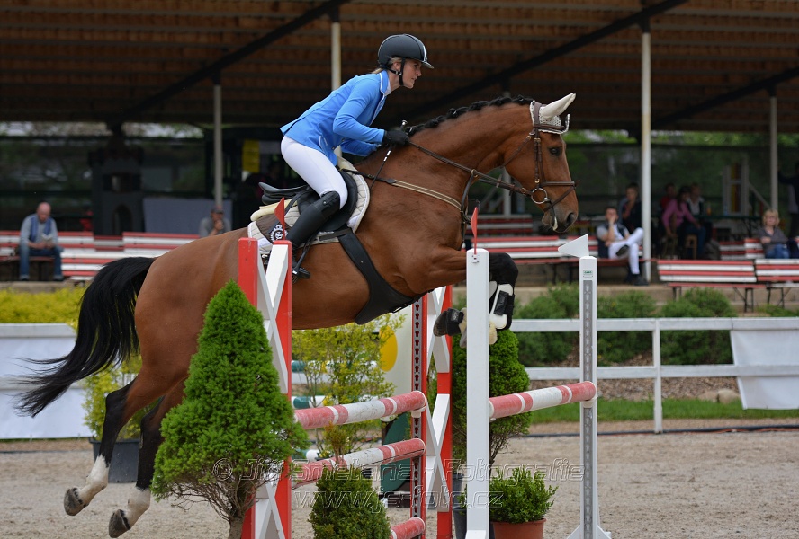 Skoková soutěž stupně „ZL“ na čas