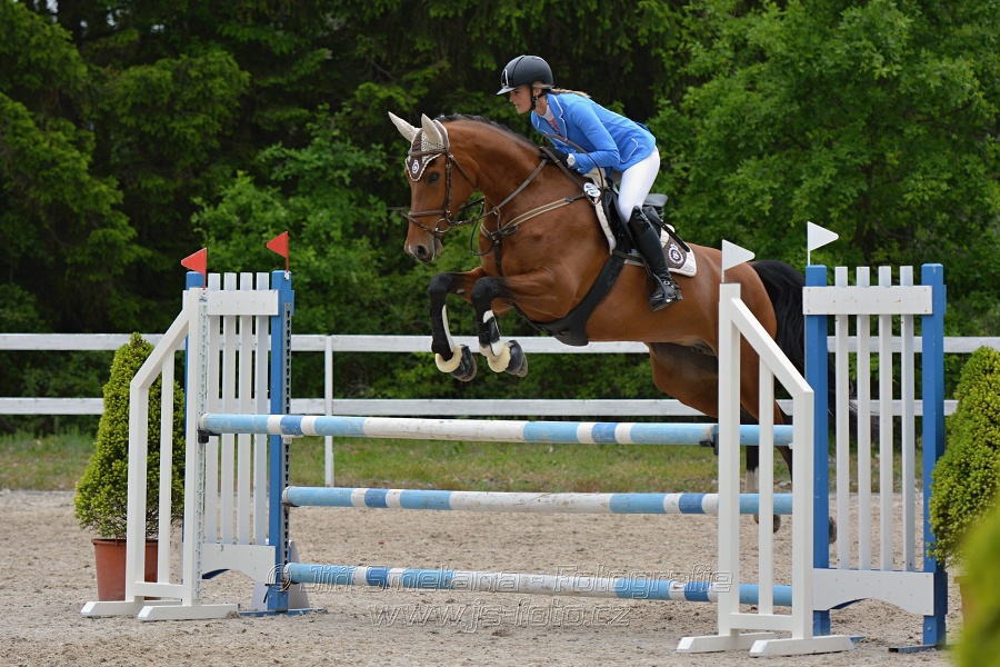 Skoková soutěž stupně „ZL“ na čas