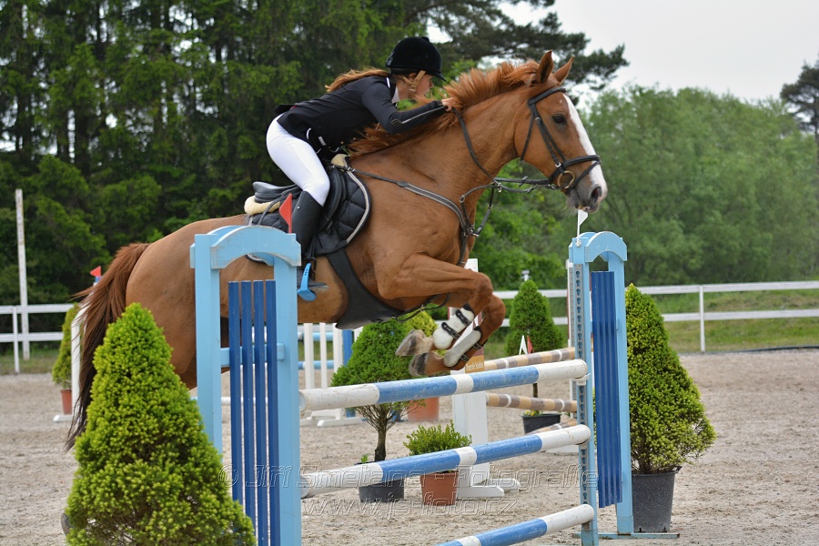 Skoková soutěž stupně „ZL“ na čas