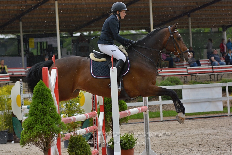 Skoková soutěž stupně „ZL“ na čas