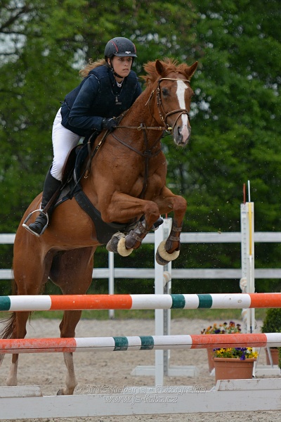 Skoková soutěž stupně „ZL“ na čas