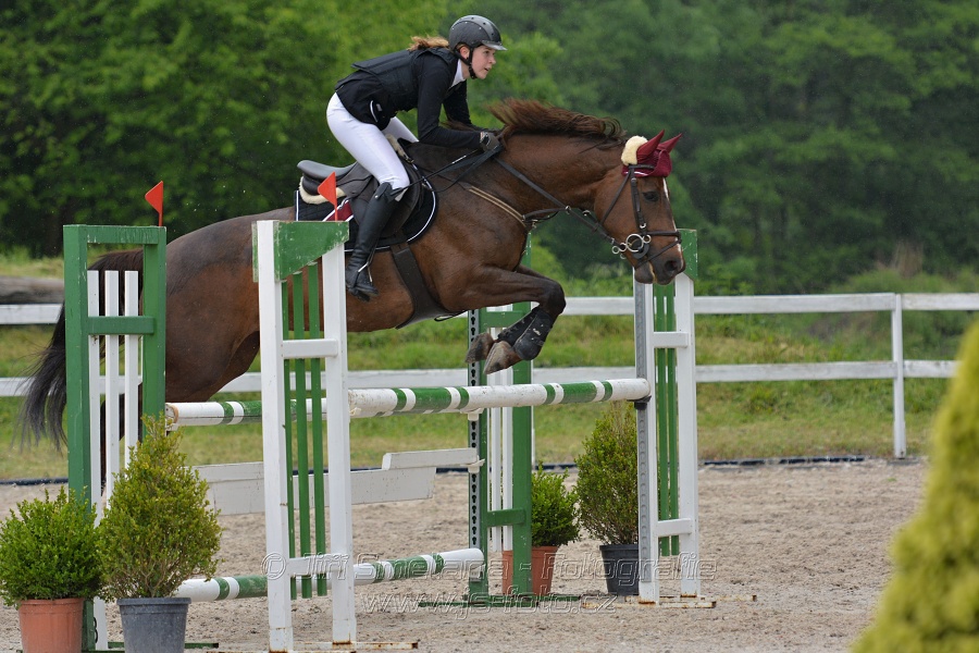 Skoková soutěž stupně „ZL“ na čas