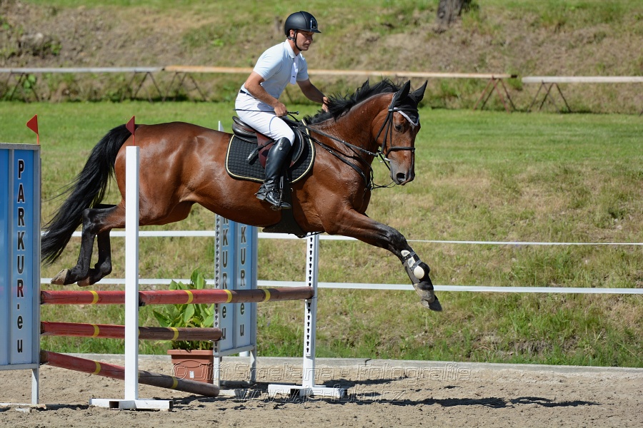 Skoková soutěž „Postupná obtížnost do 90 cm“