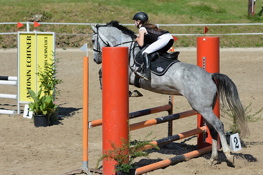 Skoková soutěž „Postupná obtížnost do 90 cm“