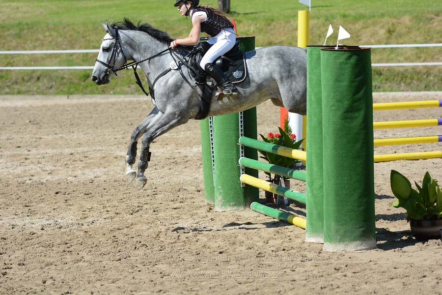 Skoková soutěž „Postupná obtížnost do 90 cm“