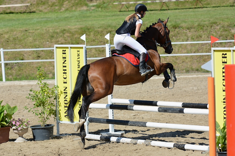 Skoková soutěž „Postupná obtížnost do 90 cm“