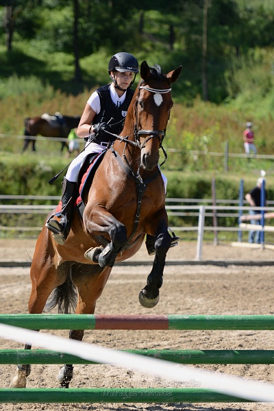 Skoková soutěž „Postupná obtížnost do 90 cm“