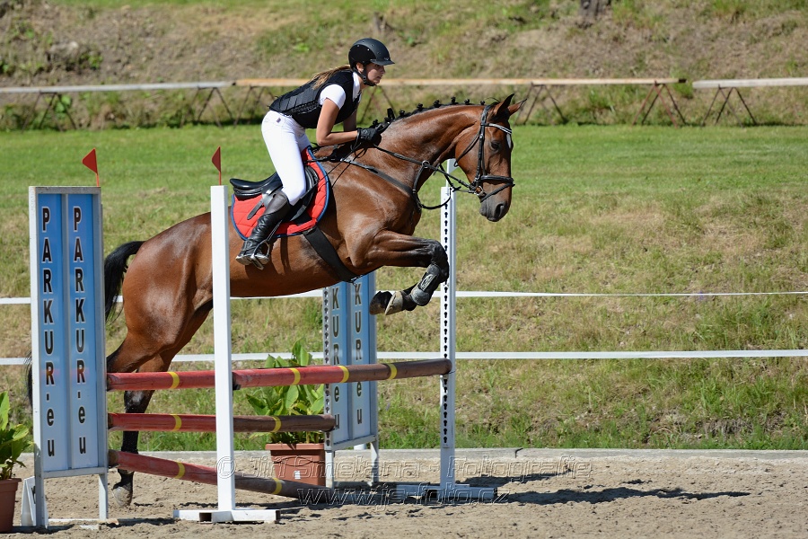 Skoková soutěž „Postupná obtížnost do 90 cm“