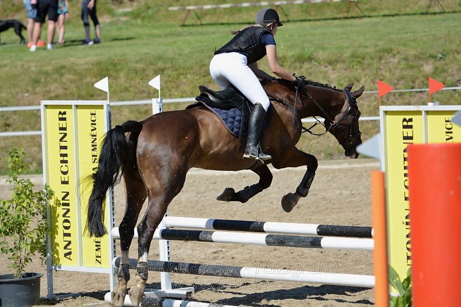 Skoková soutěž „Postupná obtížnost do 90 cm“