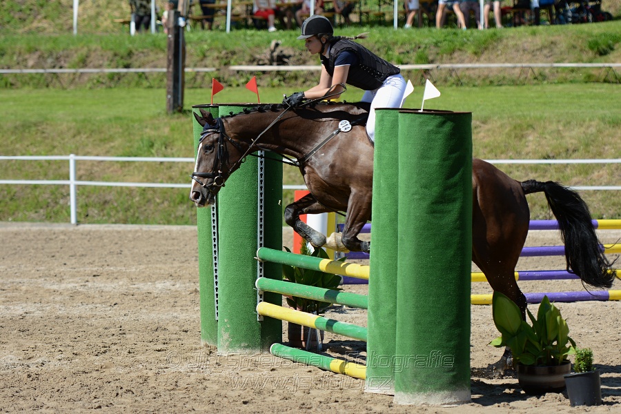 Skoková soutěž „Postupná obtížnost do 90 cm“