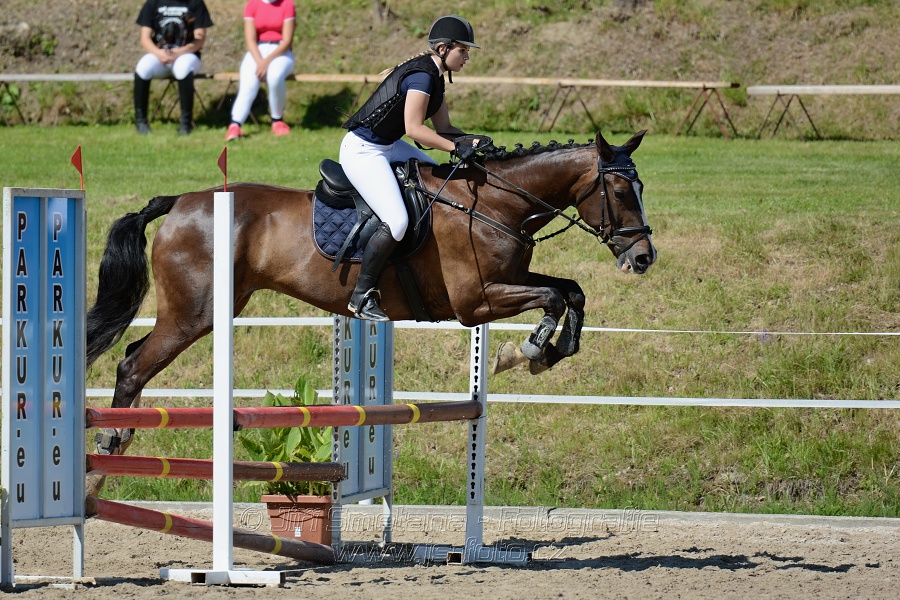 Skoková soutěž „Postupná obtížnost do 90 cm“
