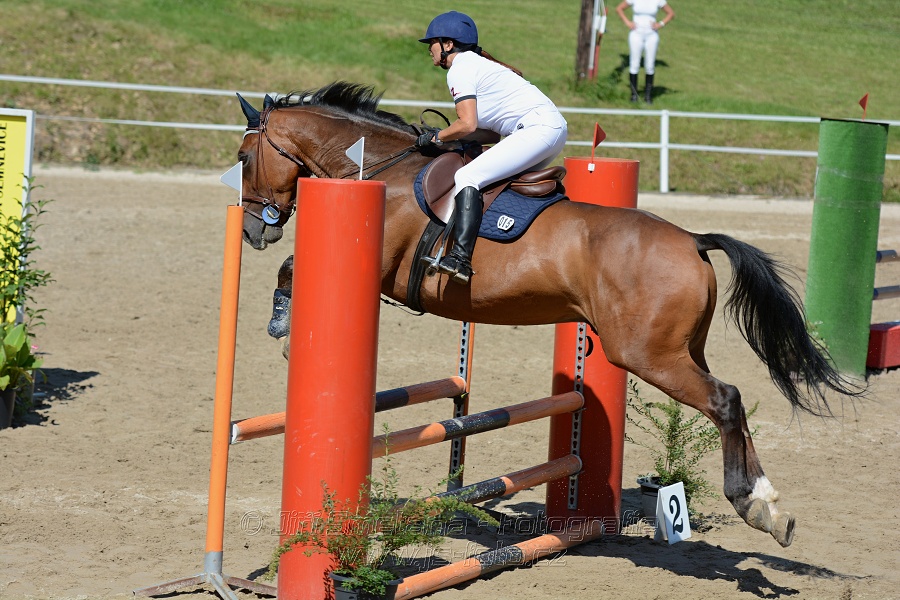 Skoková soutěž „Postupná obtížnost do 90 cm“