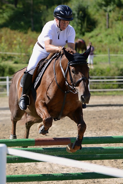 Skoková soutěž „Postupná obtížnost do 90 cm“