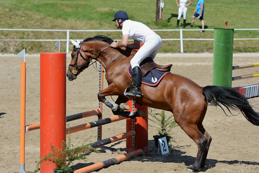 Skoková soutěž „Postupná obtížnost do 90 cm“