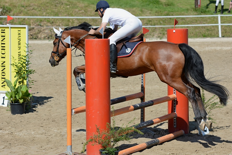 Skoková soutěž „Postupná obtížnost do 90 cm“