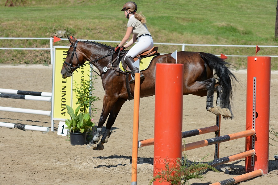Skoková soutěž „Postupná obtížnost do 90 cm“