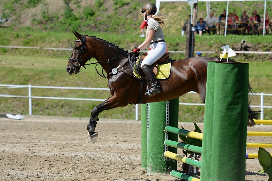 Skoková soutěž „Postupná obtížnost do 90 cm“