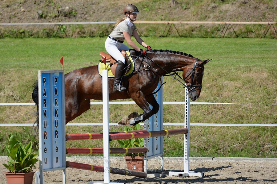 Skoková soutěž „Postupná obtížnost do 90 cm“
