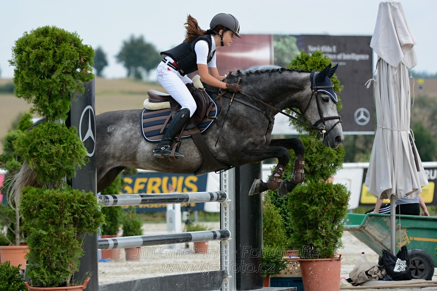 Skoková soutěž ZL na limitovaný čas - jezdci do 25let