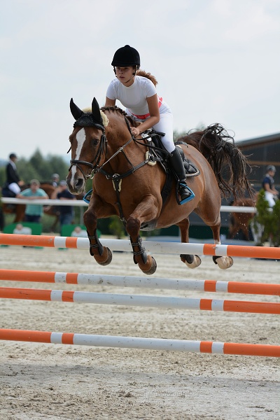 Skoková soutěž ZL na limitovaný čas - jezdci do 25let