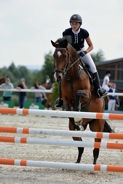 Skoková soutěž ZL na limitovaný čas - jezdci do 25let