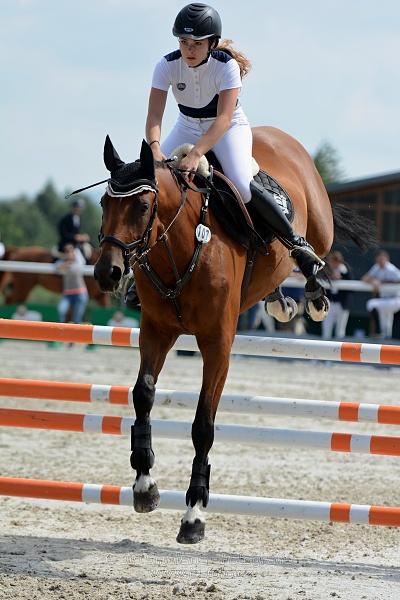 Skoková soutěž ZL na limitovaný čas - jezdci do 25let