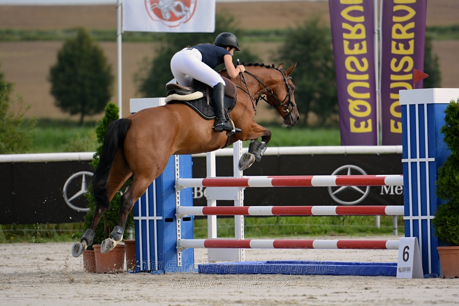 Skoková soutěž ZL na limitovaný čas