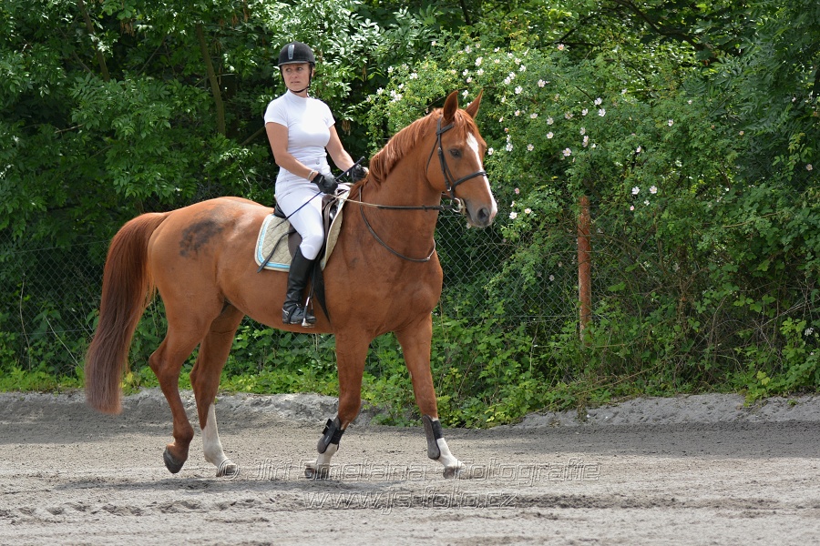 Skoková soutěž st. 