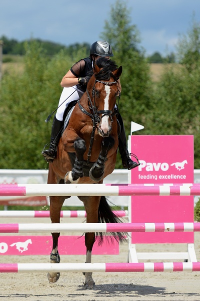 Skoková soutěž L*, bez rozeskakování na čas