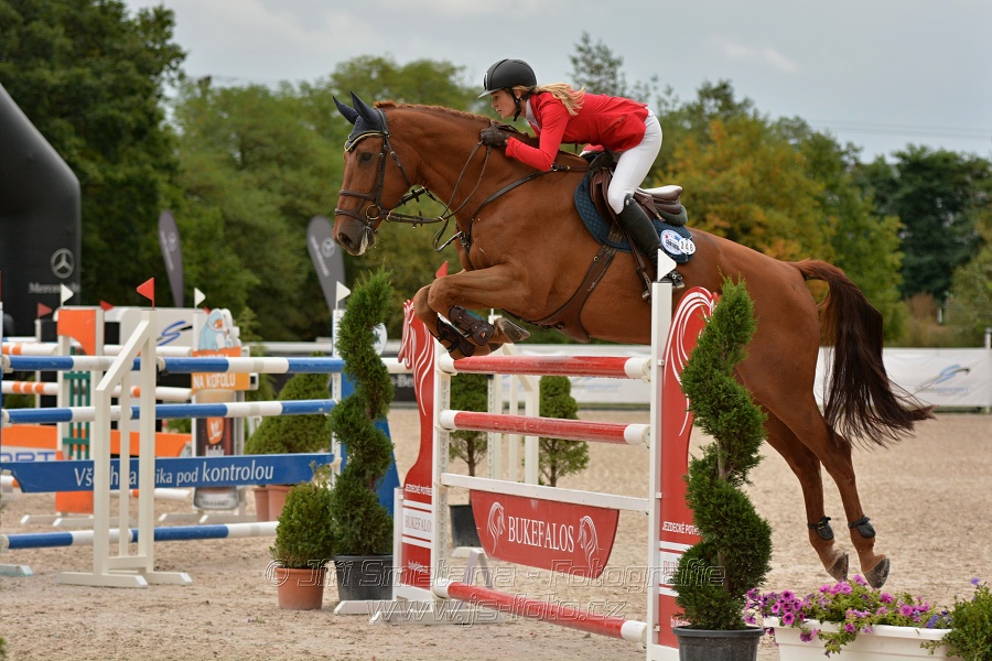 VELKÁ CENA HOŘOVIC 2016