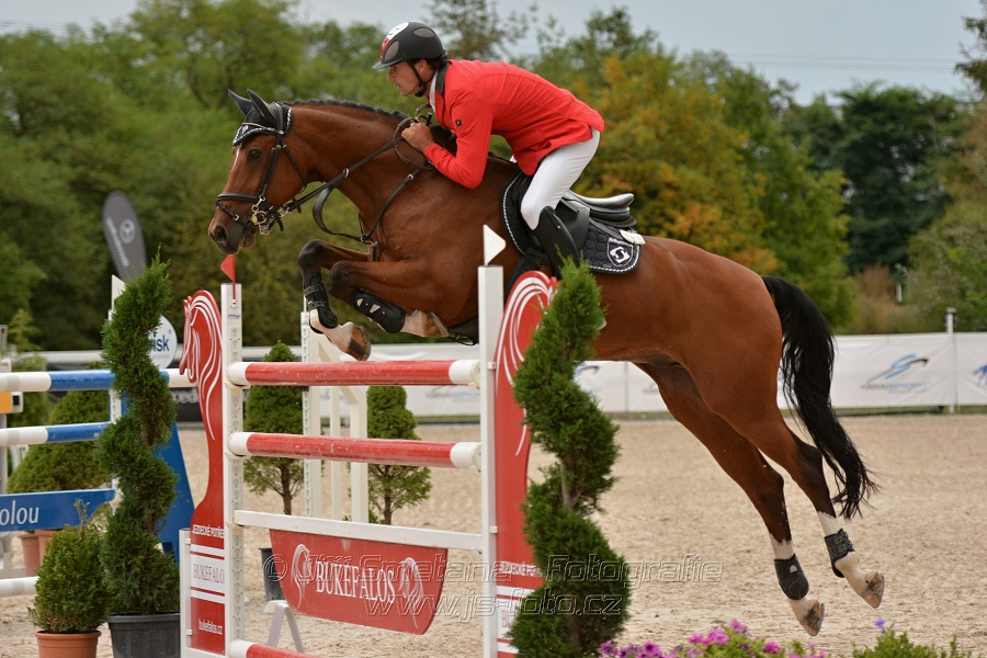 VELKÁ CENA HOŘOVIC 2016