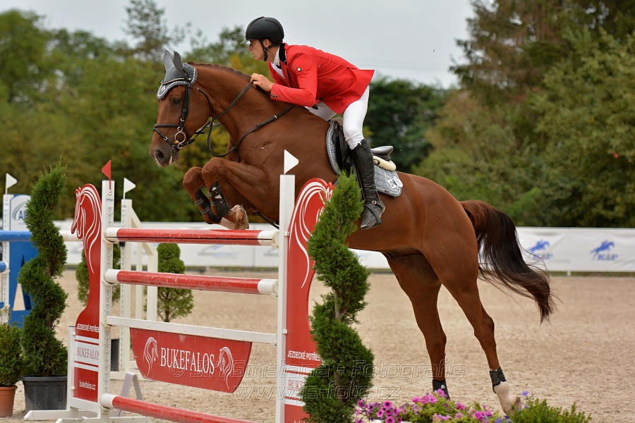 VELKÁ CENA HOŘOVIC 2016