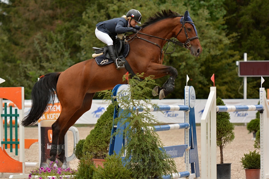 VELKÁ CENA HOŘOVIC 2016