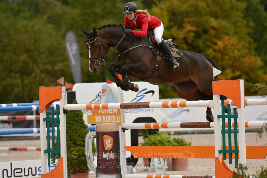 VELKÁ CENA HOŘOVIC 2016