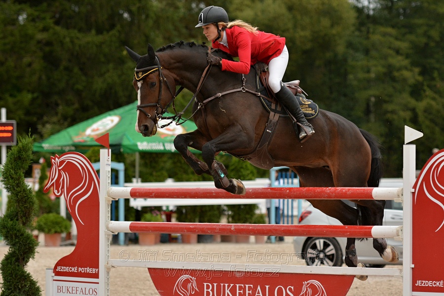 VELKÁ CENA HOŘOVIC 2016