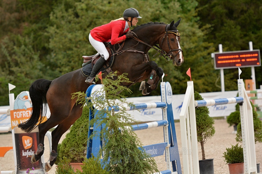 VELKÁ CENA HOŘOVIC 2016