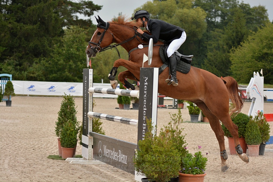VELKÁ CENA HOŘOVIC 2016