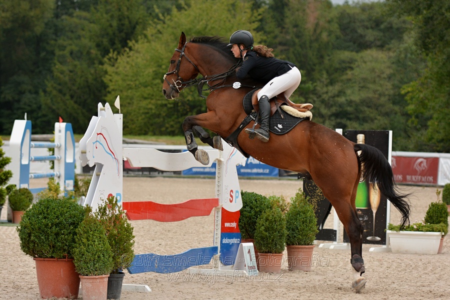 VELKÁ CENA HOŘOVIC 2016