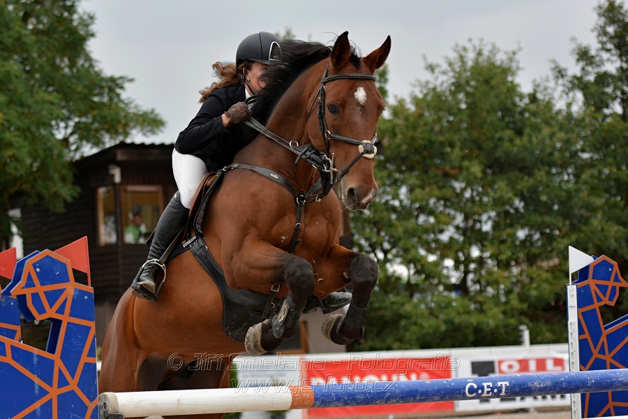 VELKÁ CENA HOŘOVIC 2016