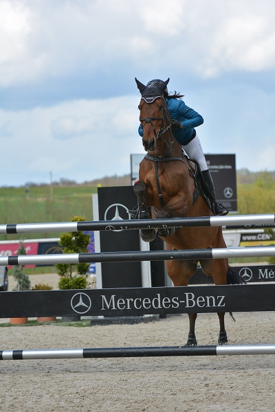 Skoková soutěž st. „T*“ – 145 cm