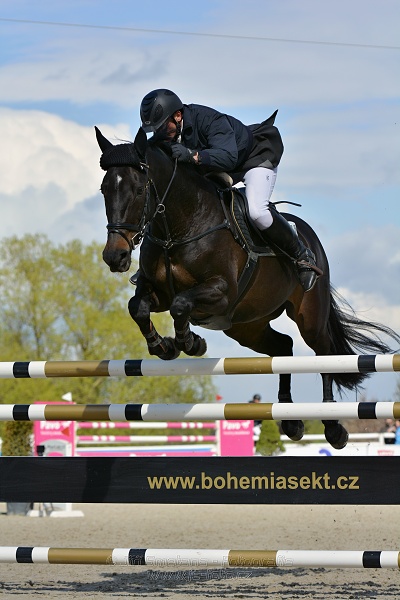 Skoková soutěž st. „T*“ – 145 cm