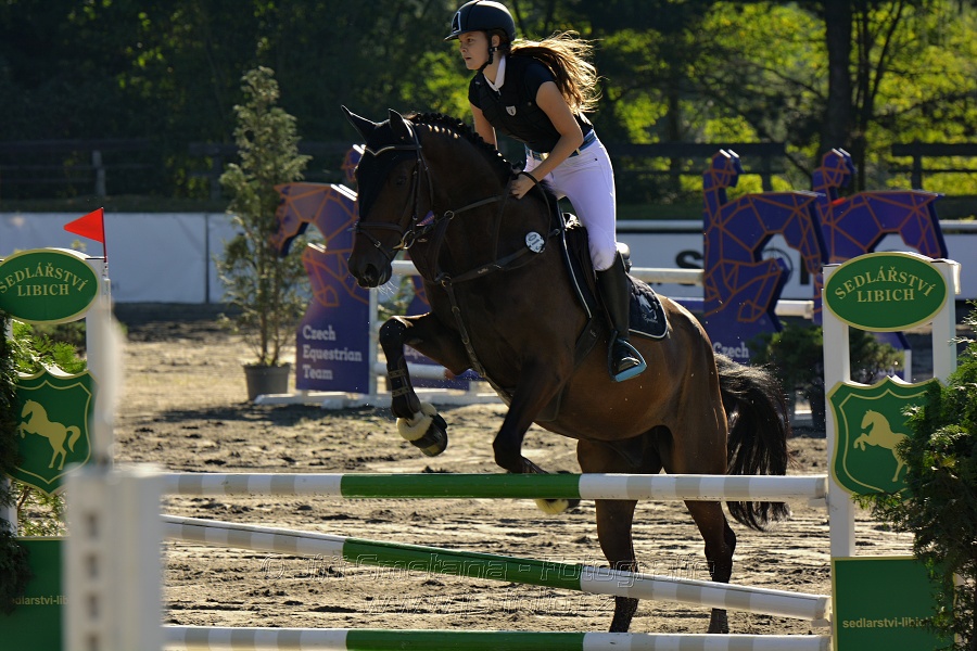 Stupňovaná obtížnost s žolíkem do 105 cm