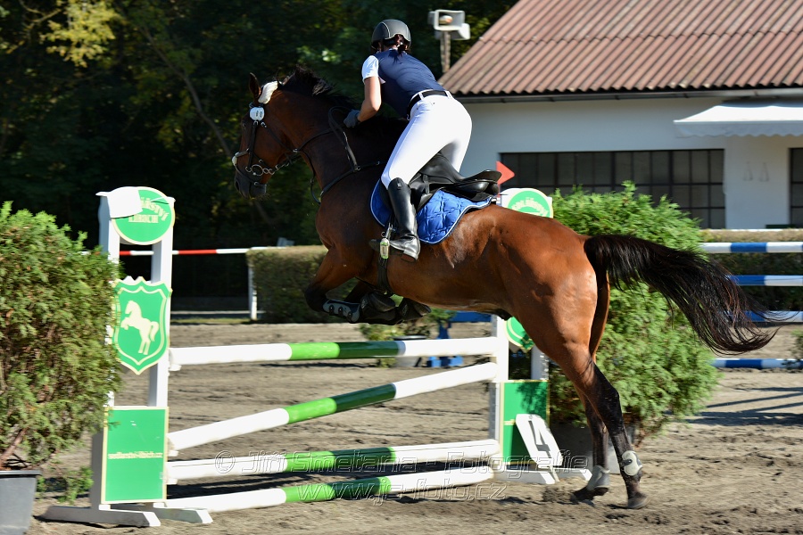 Stupňovaná obtížnost s žolíkem do 105 cm