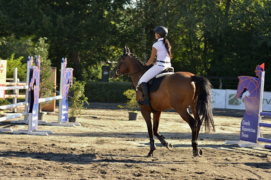 Stupňovaná obtížnost s žolíkem do 105 cm