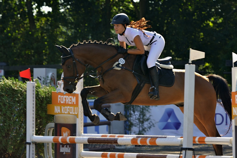 Stupňovaná obtížnost s žolíkem do 105 cm