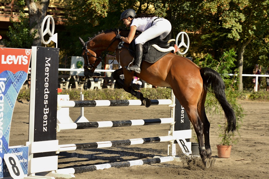Stupňovaná obtížnost s žolíkem do 105 cm