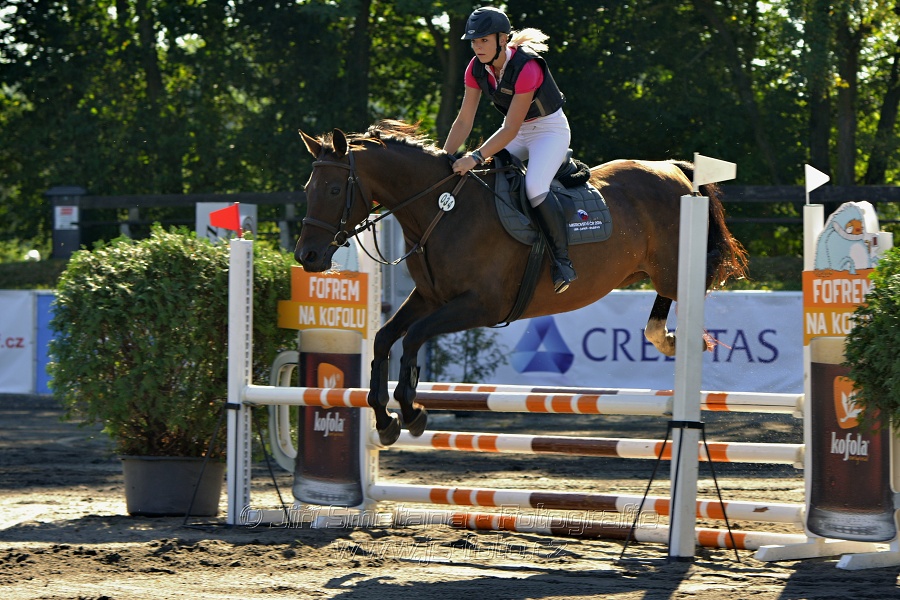 Stupňovaná obtížnost s žolíkem do 105 cm