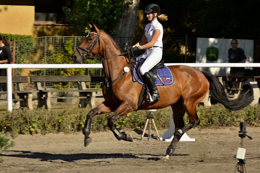 Stupňovaná obtížnost s žolíkem do 105 cm