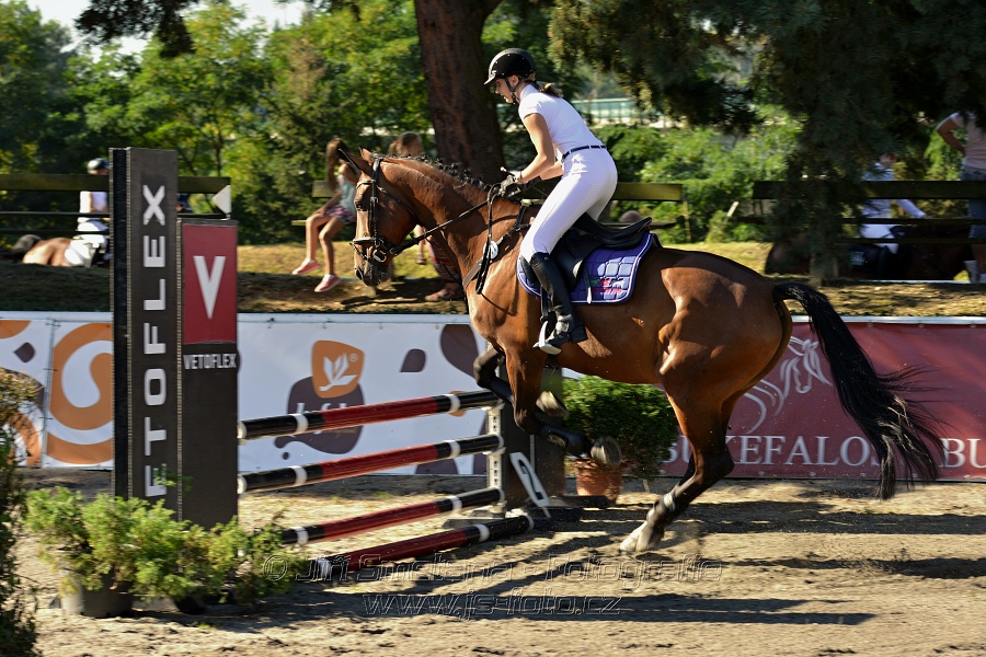 Stupňovaná obtížnost s žolíkem do 105 cm